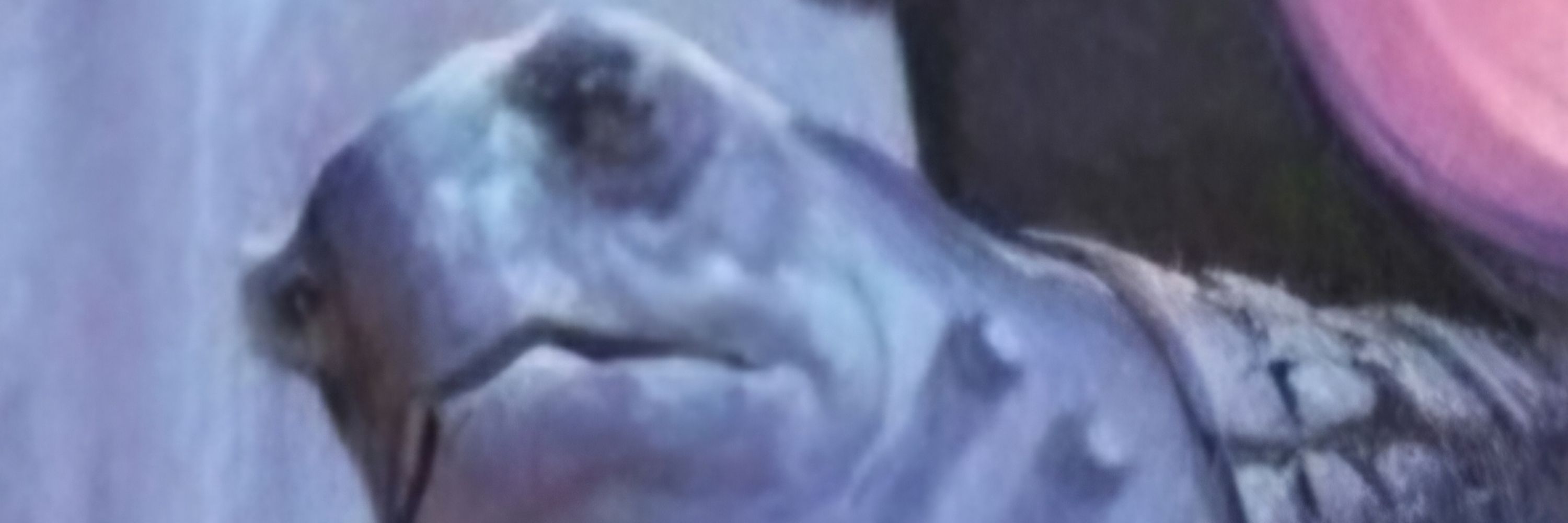 Staypuft