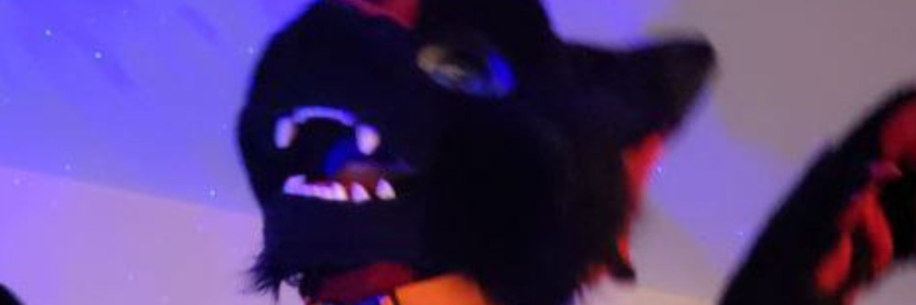 Riko the Dragon
