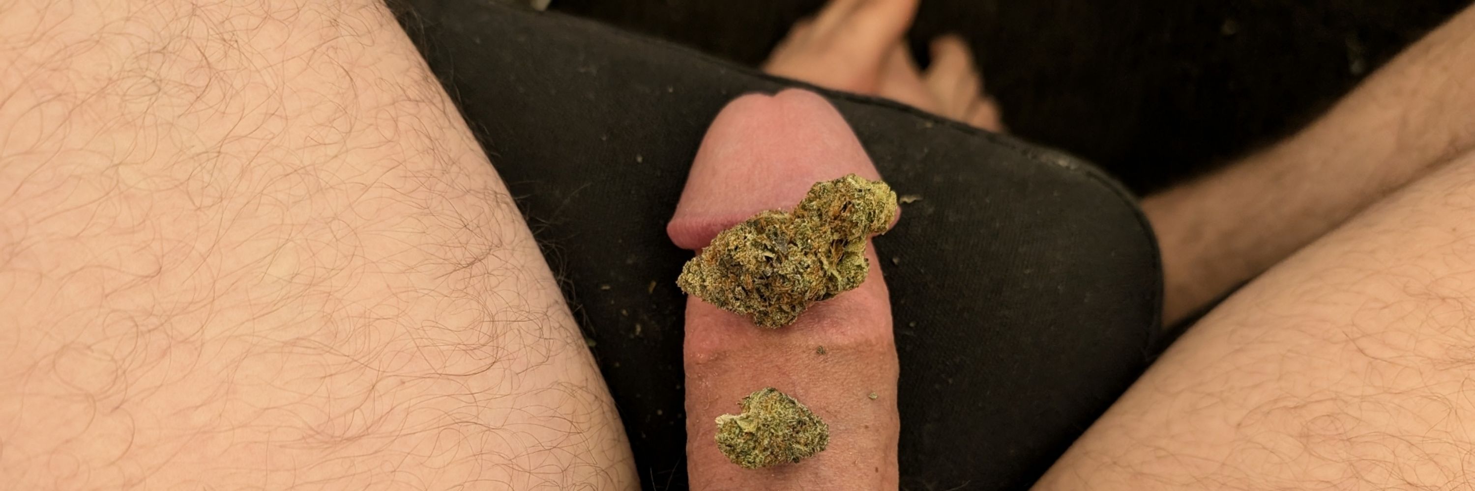 Hung Stoner Bator🌿✊💦