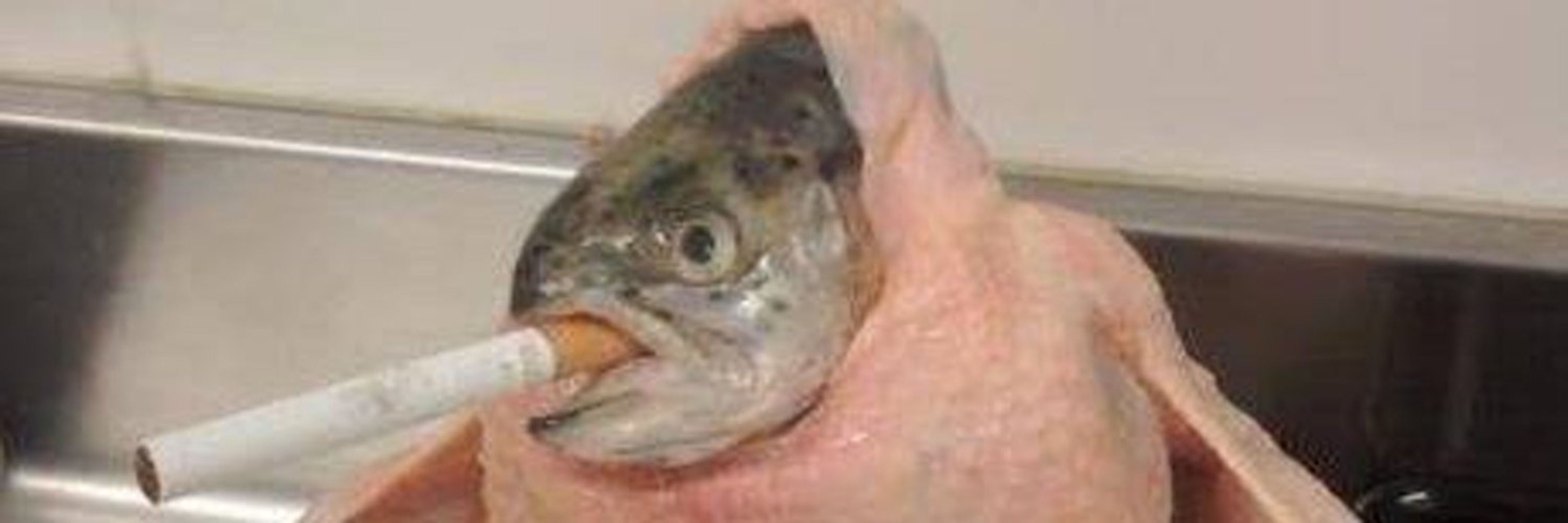 chiliga