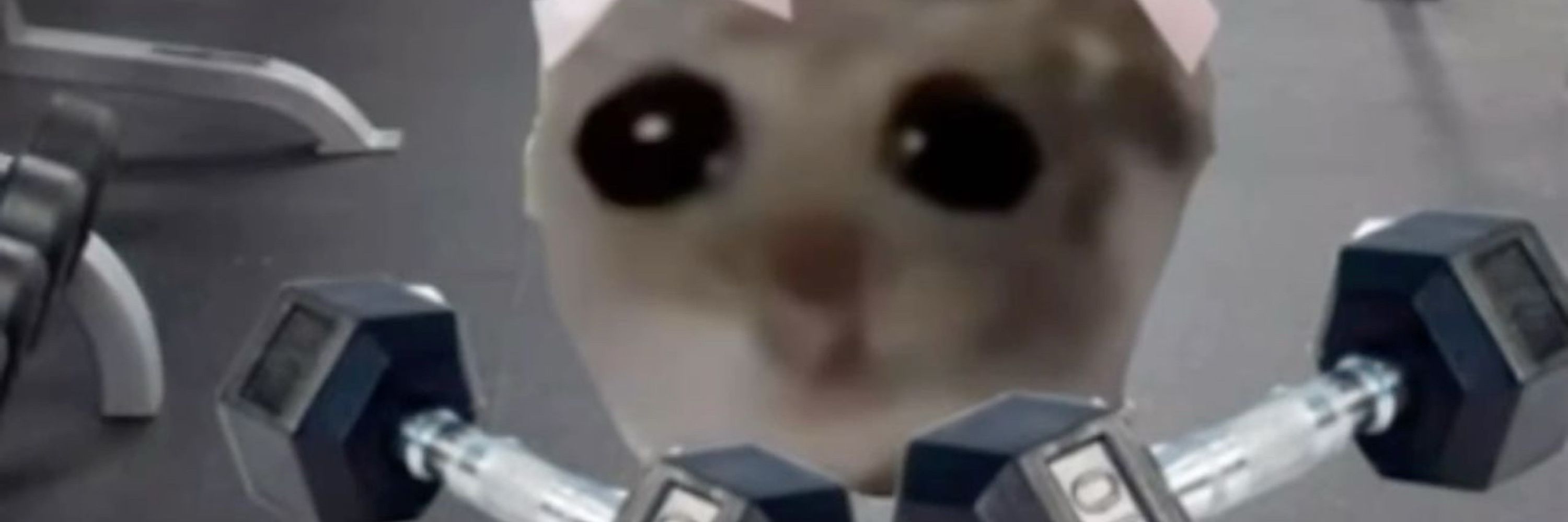 OtteringAid (Aidan)