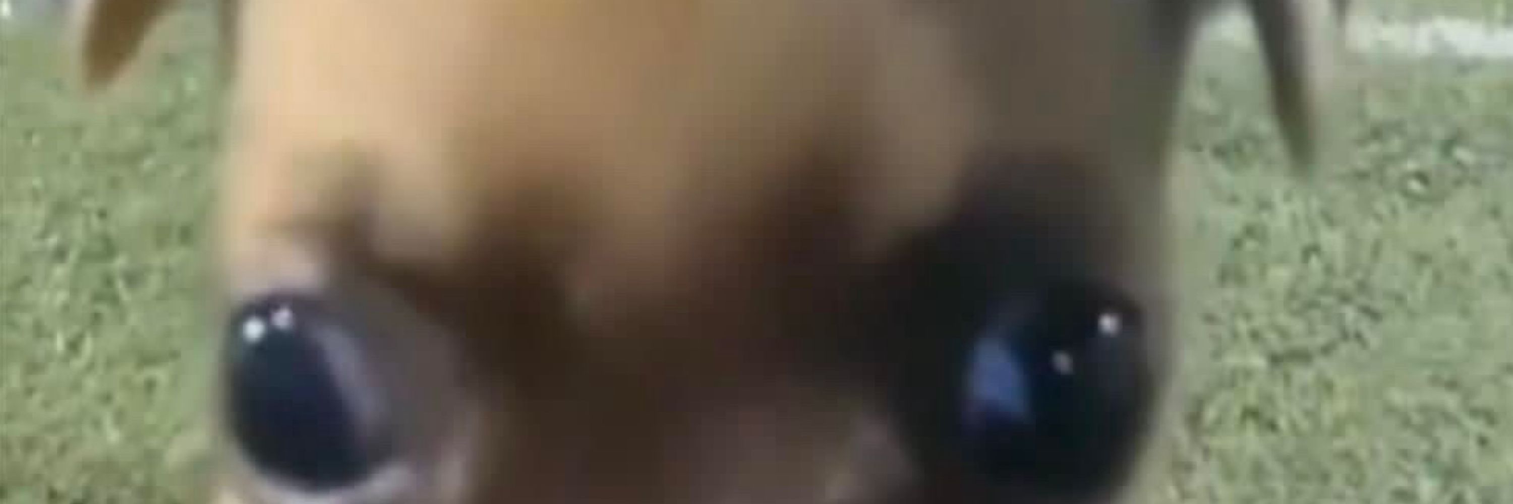 Sebastián