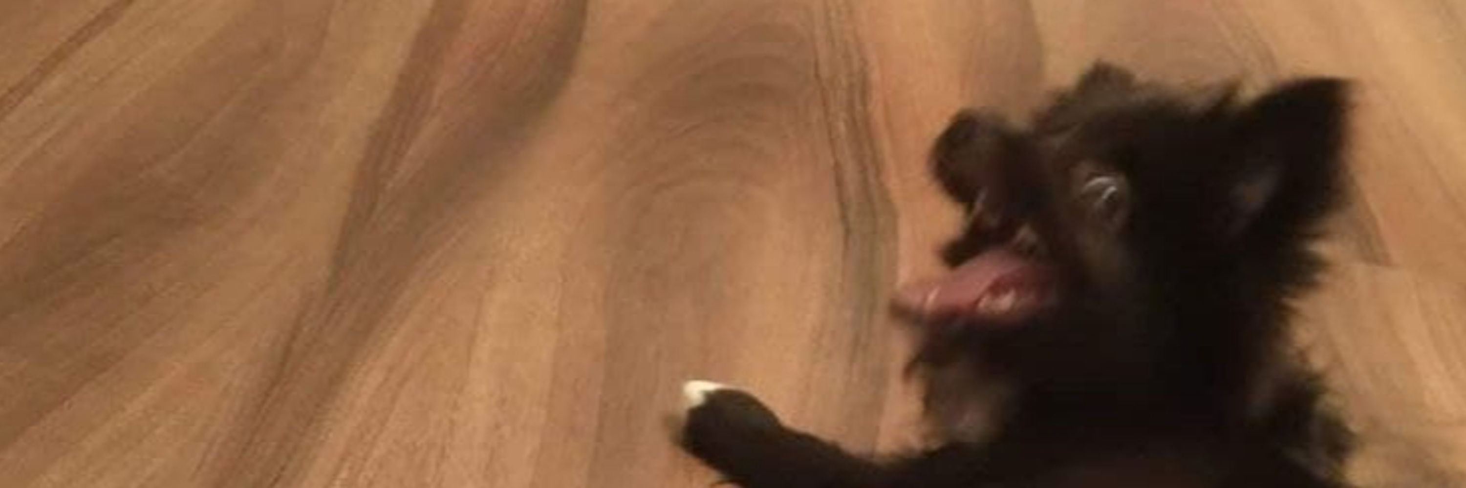 rovu