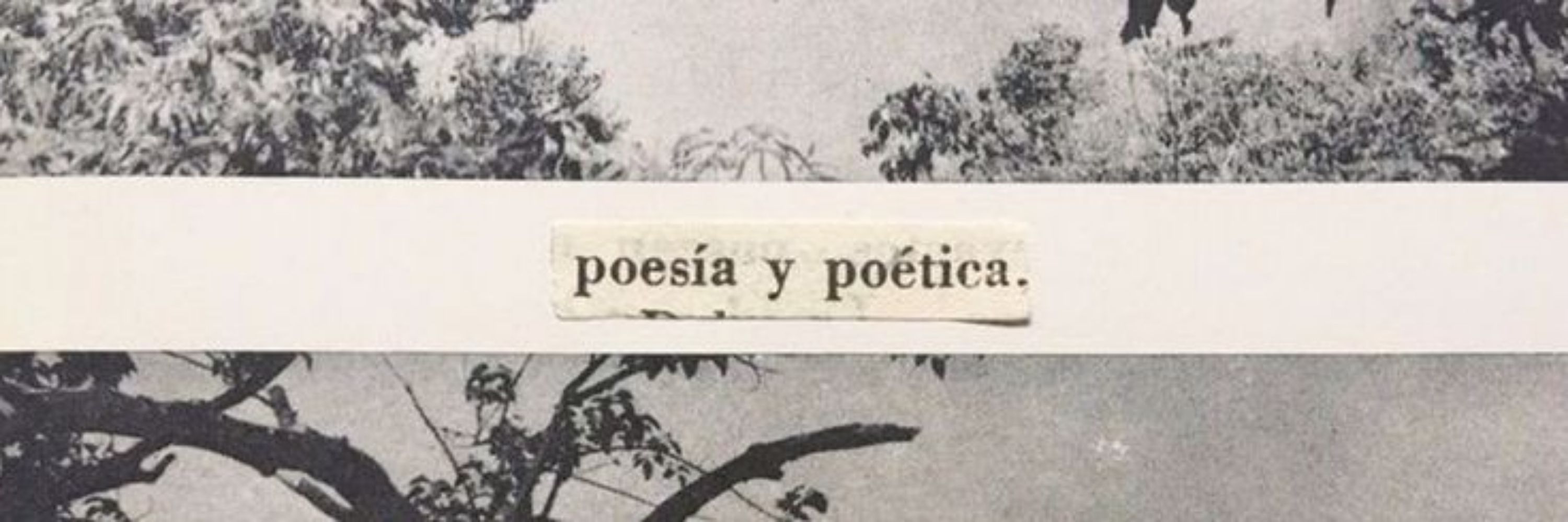 Rheana Seith. 