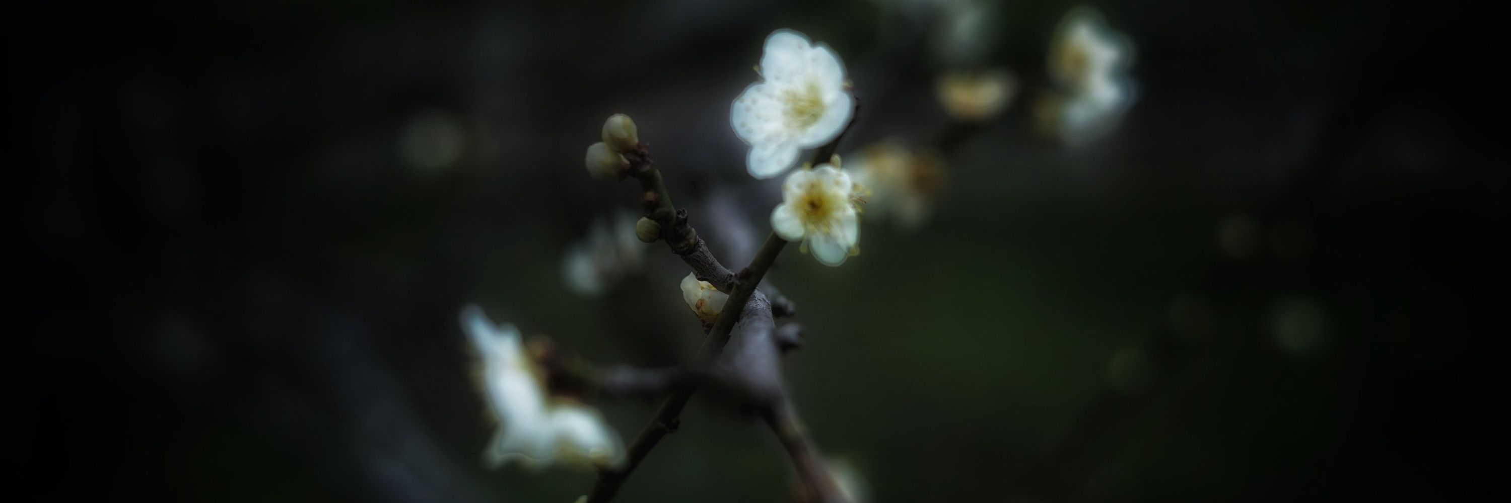 ir