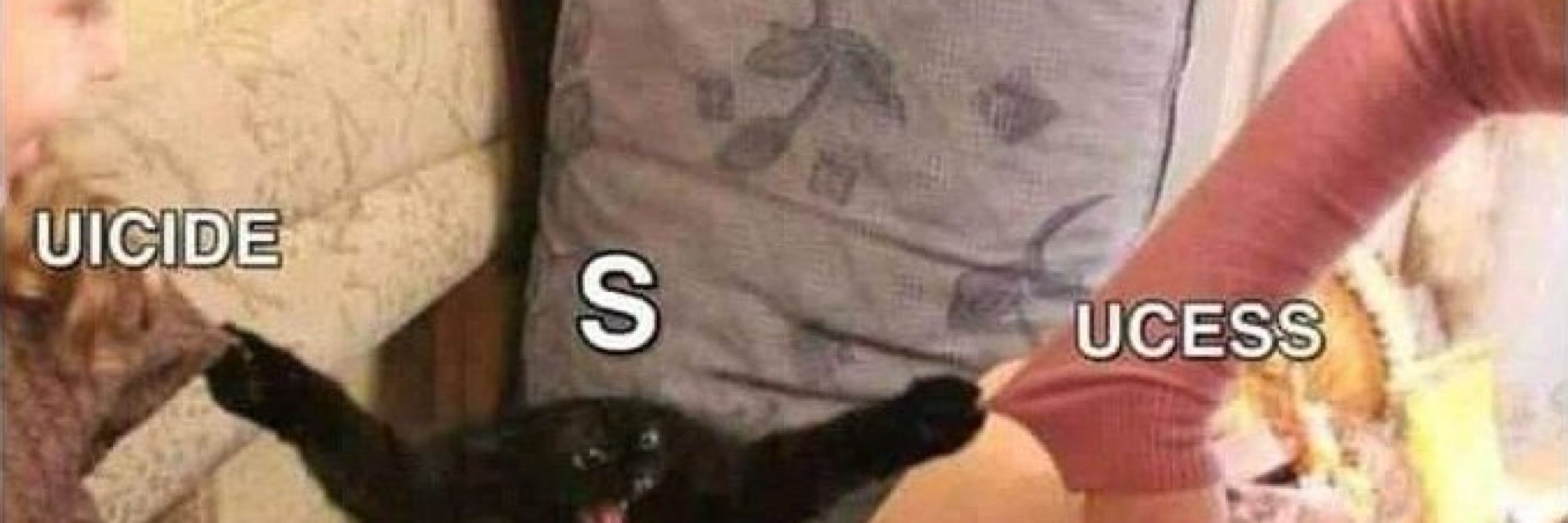 3S 🤎