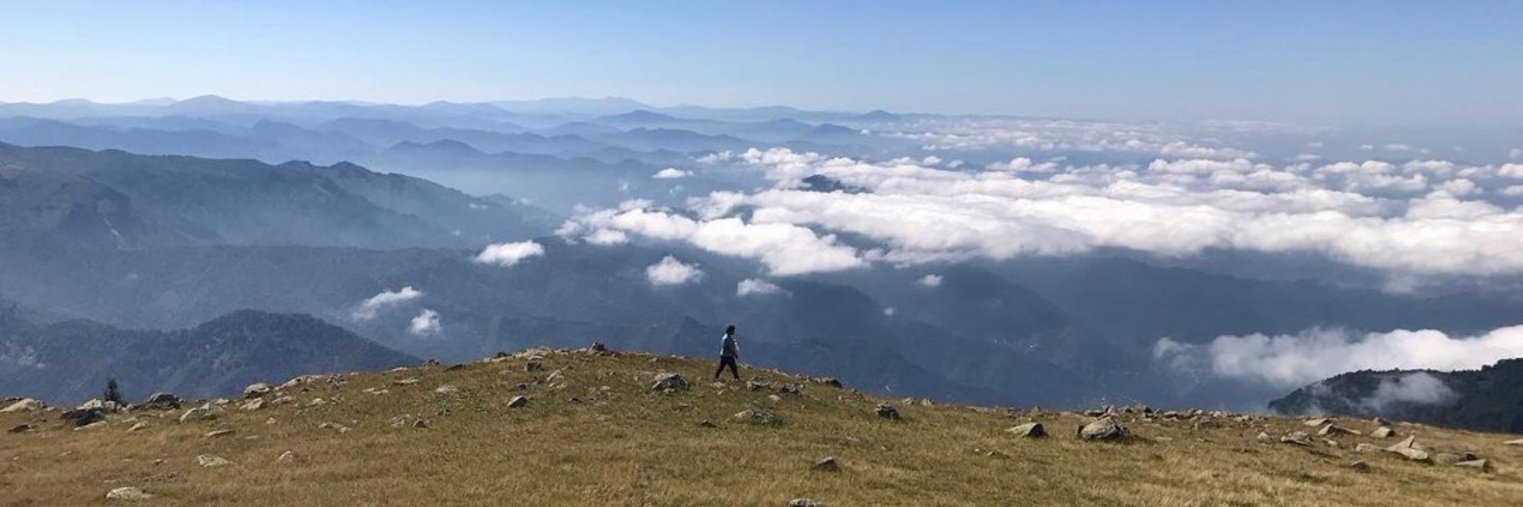 Tolga Rohan