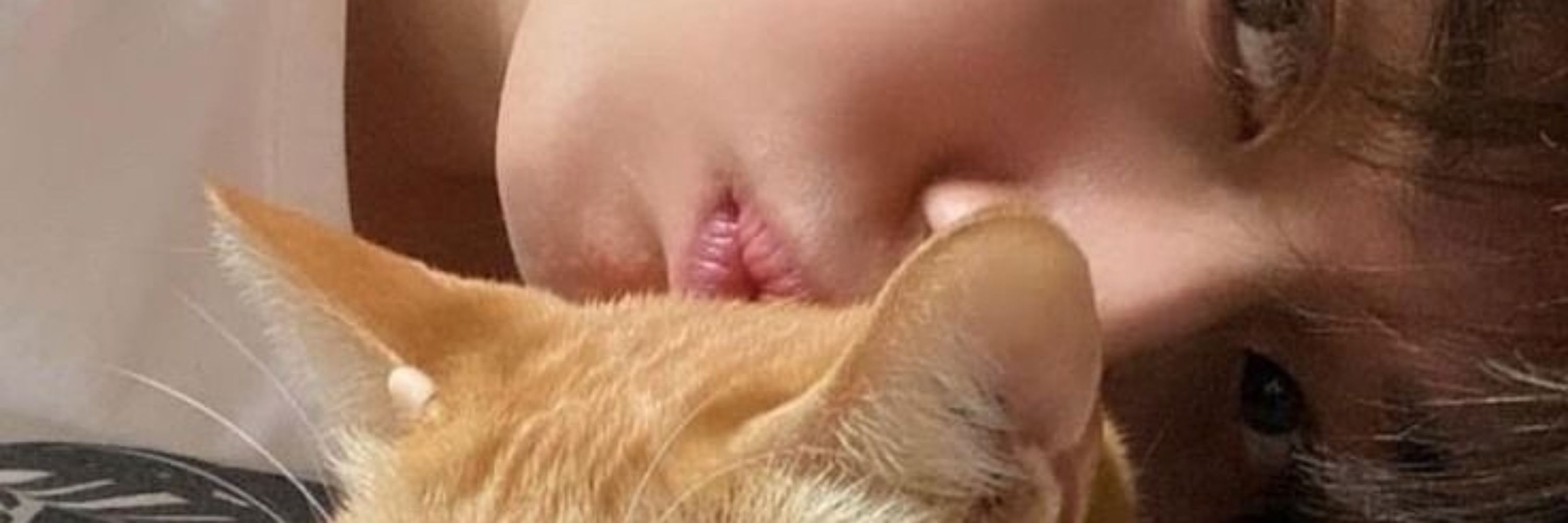 ro loves catboys