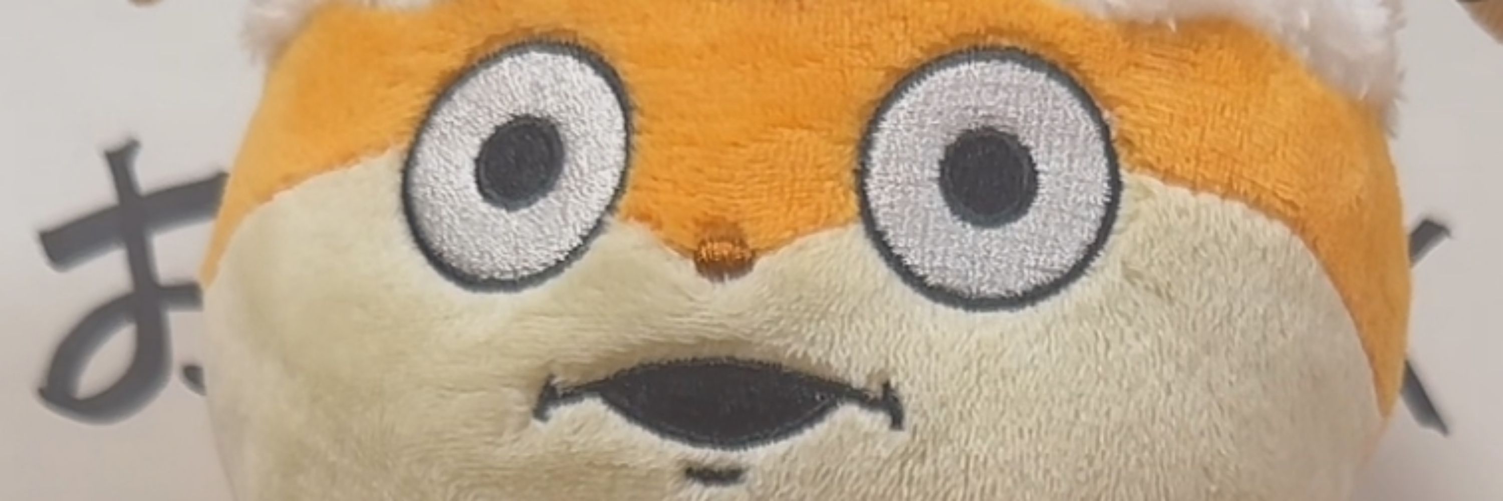 ｹ