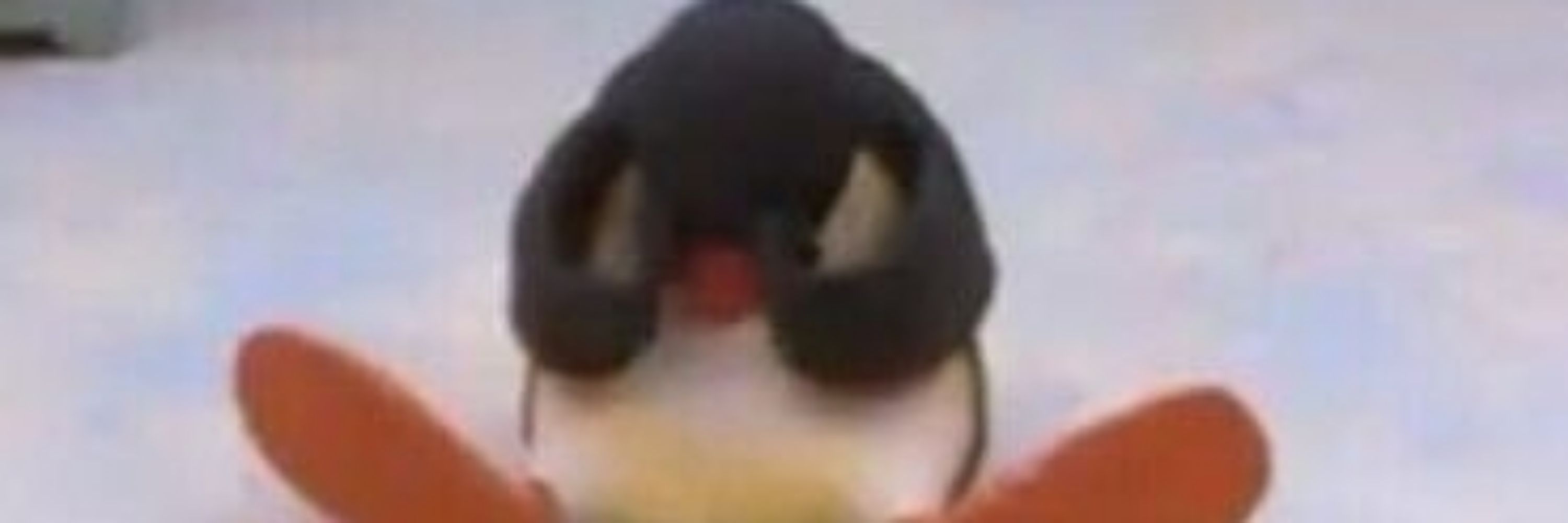 Pingo