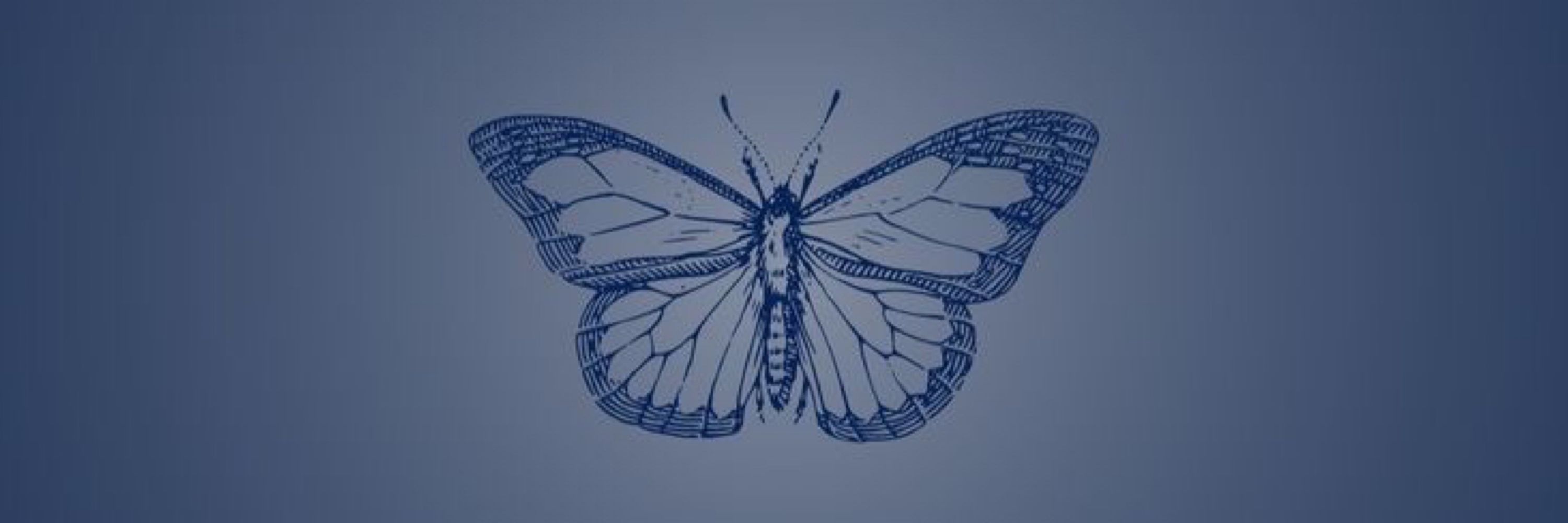 Problemática 🦋