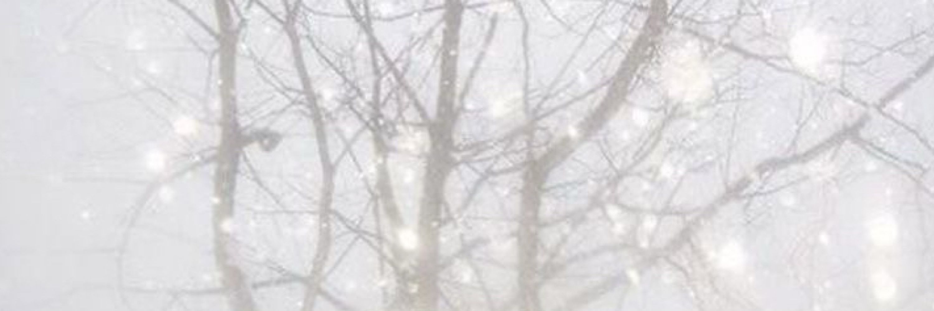 Jeremiah S. ❅