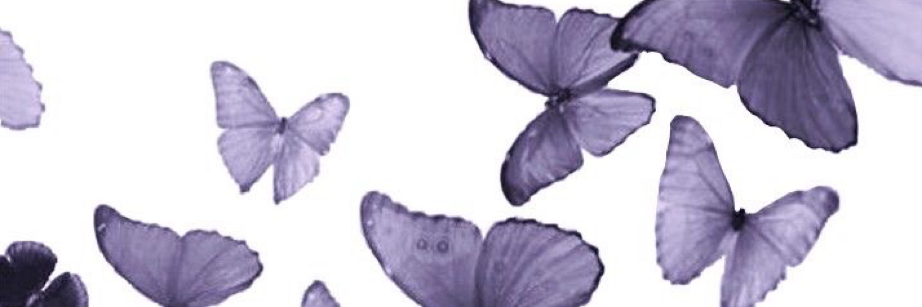𝘲𝘪𝘢𝘰 𝘭𝘪𝘯𝘨 ` 乔苓 `