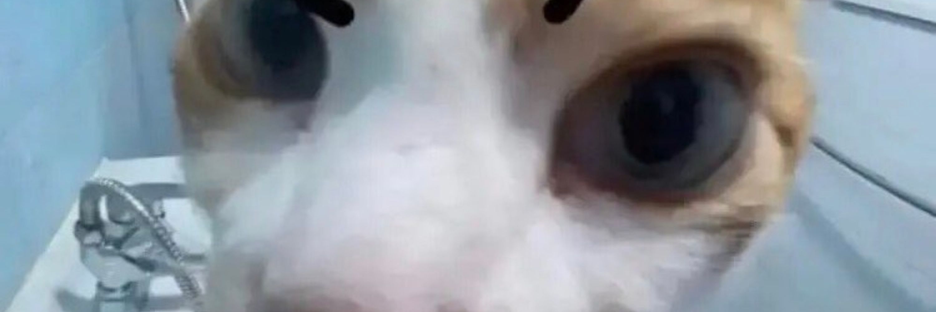 fuckin schnasty