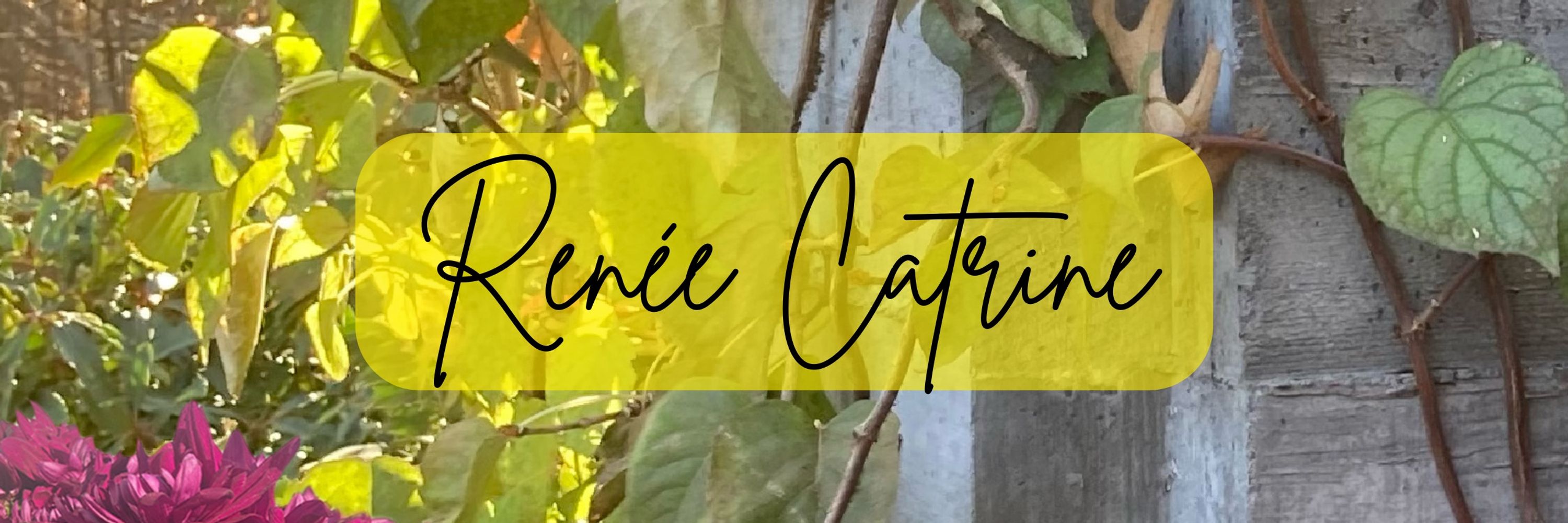 Renée Catrine