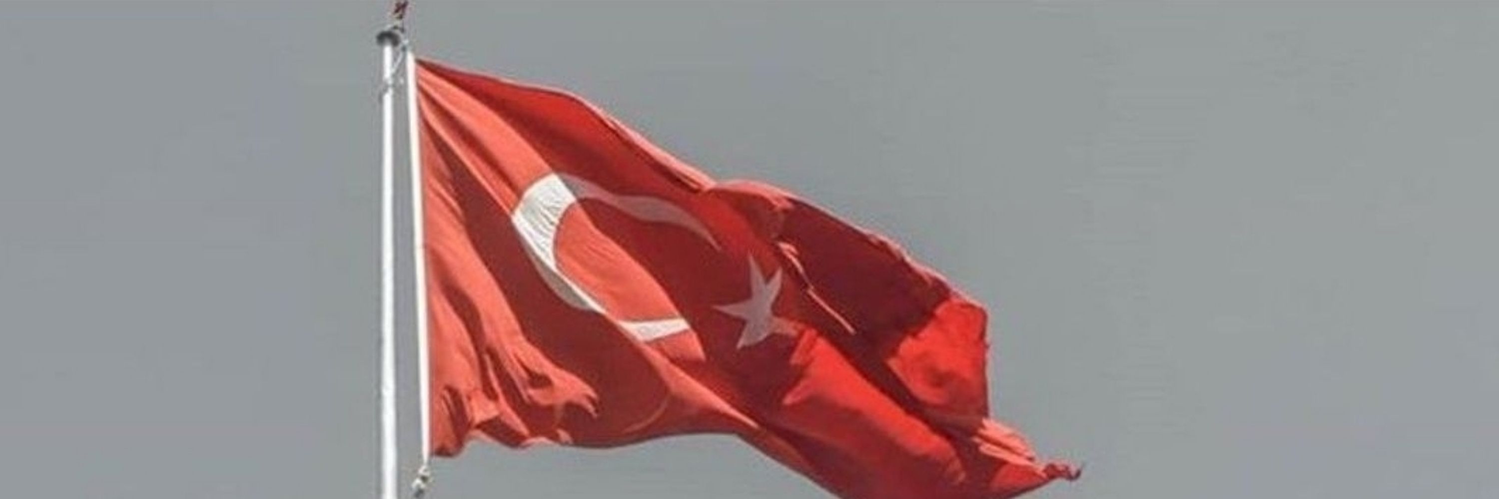 Tolga