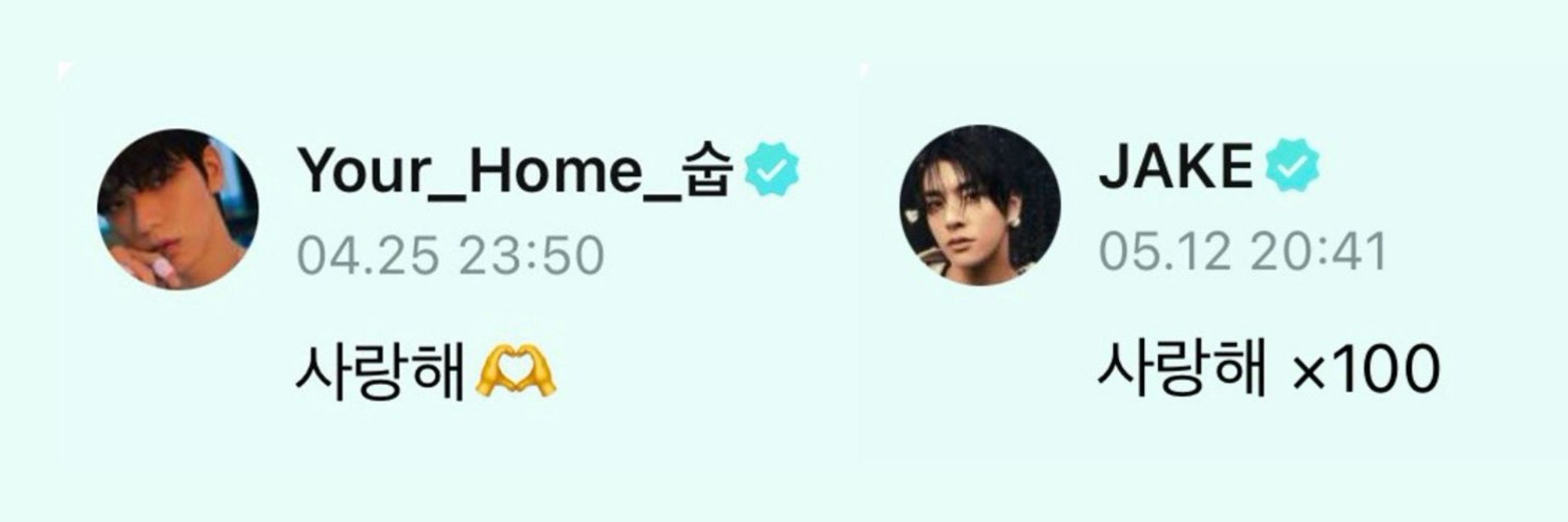 van🐧🐰🦮