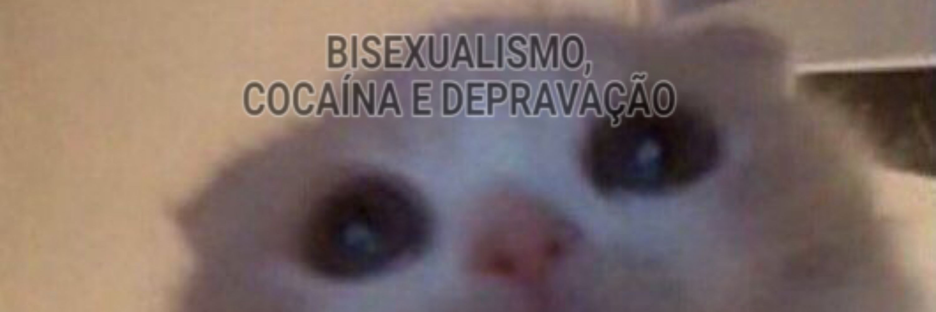 DemiCat