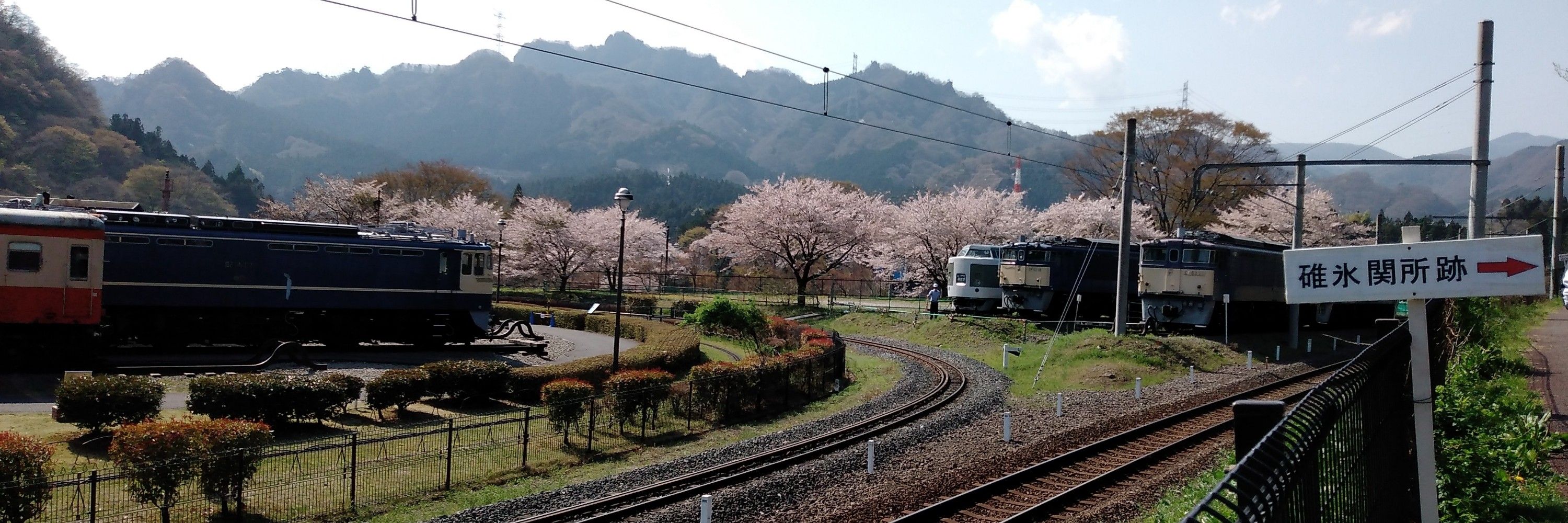 はるっきー(古典機過激派)