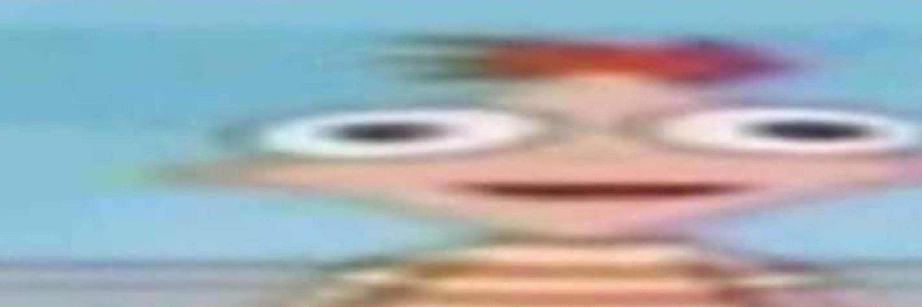 GDbowser
