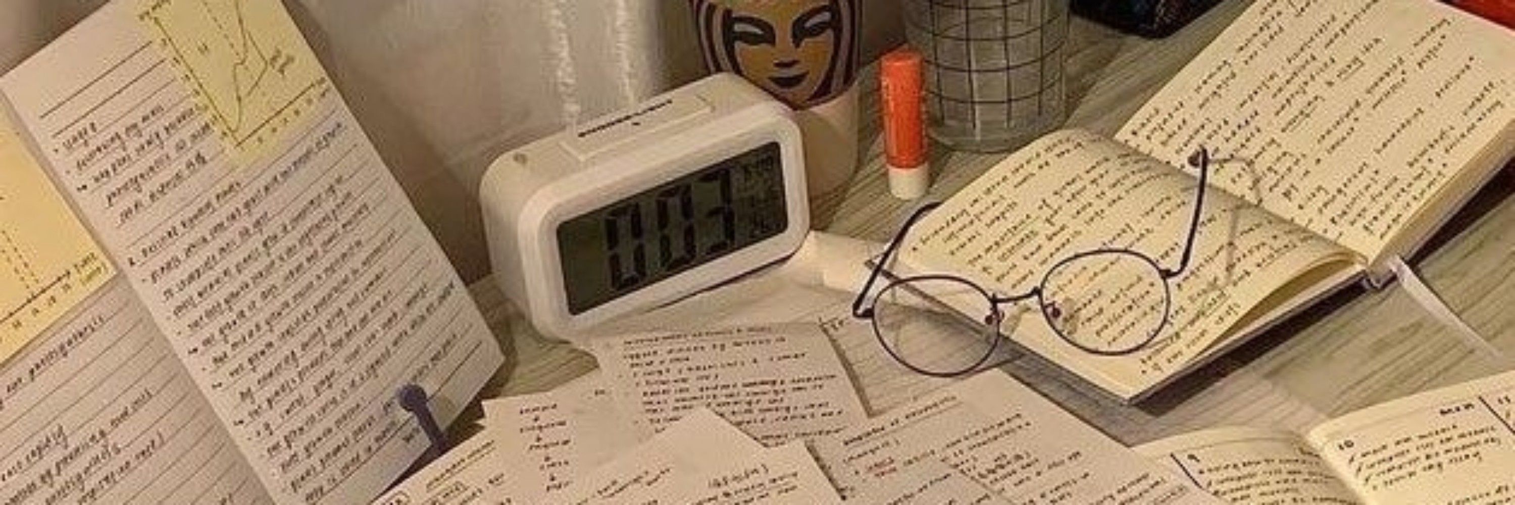 expert estudos