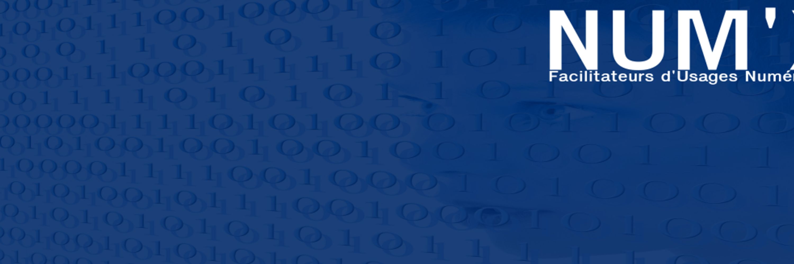 NUM'X, Facilitateurs d'Usages Numériques