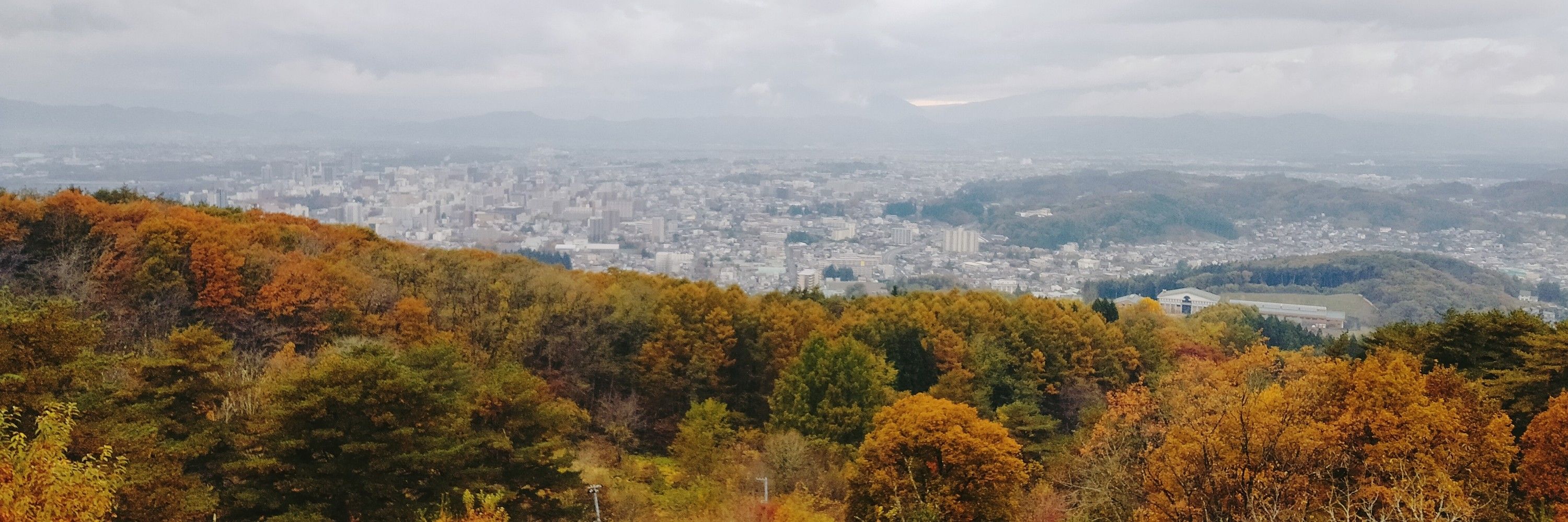 八重