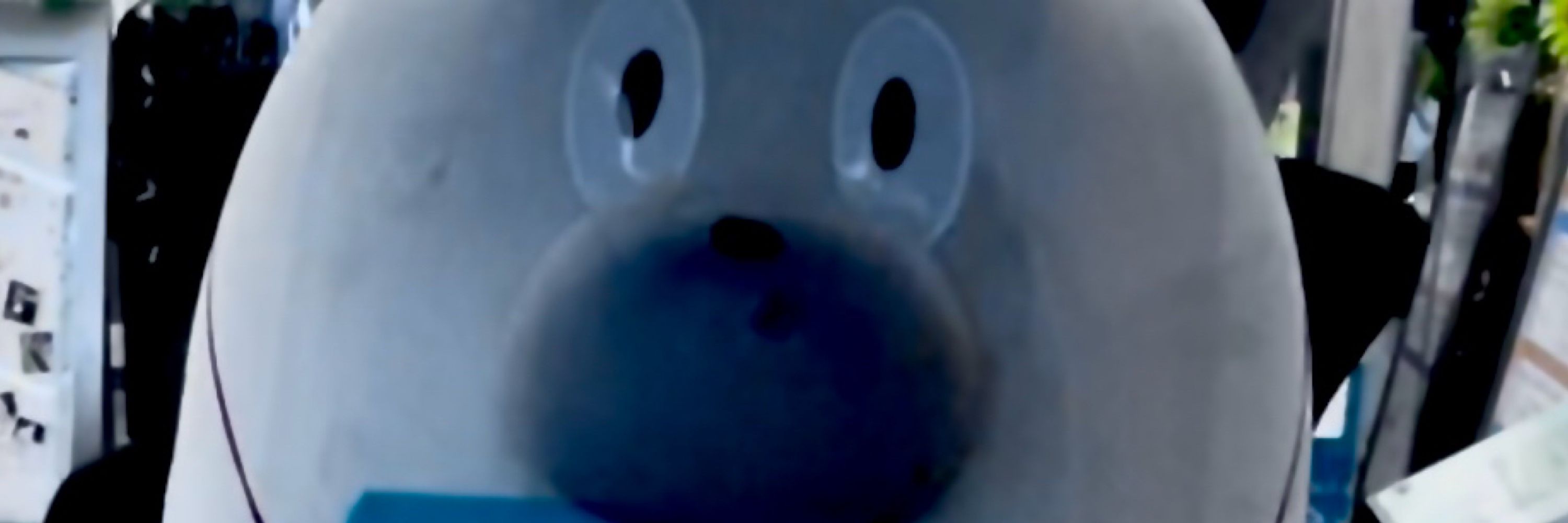 にんじん