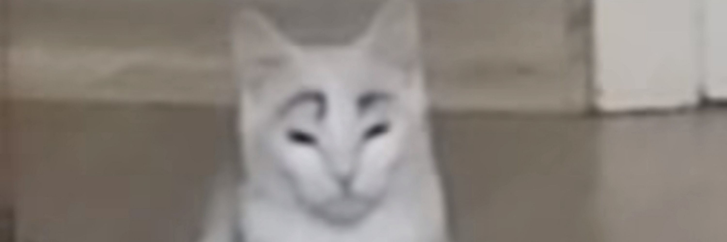 Cauê Dondé 