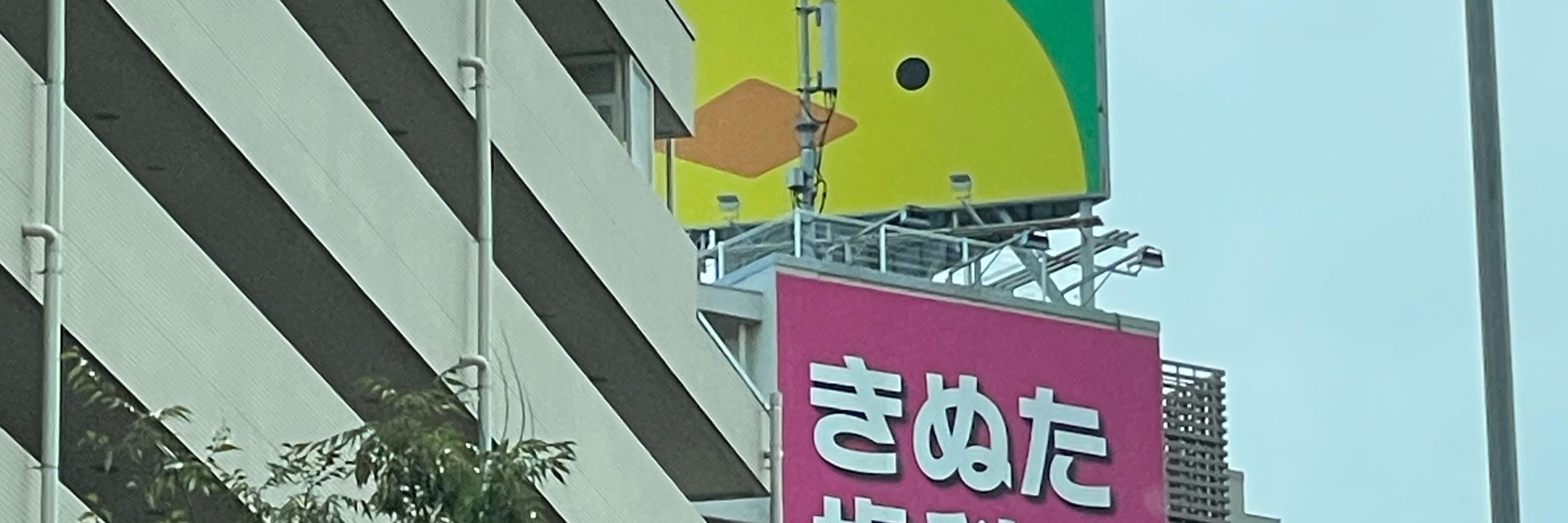 ゴン太