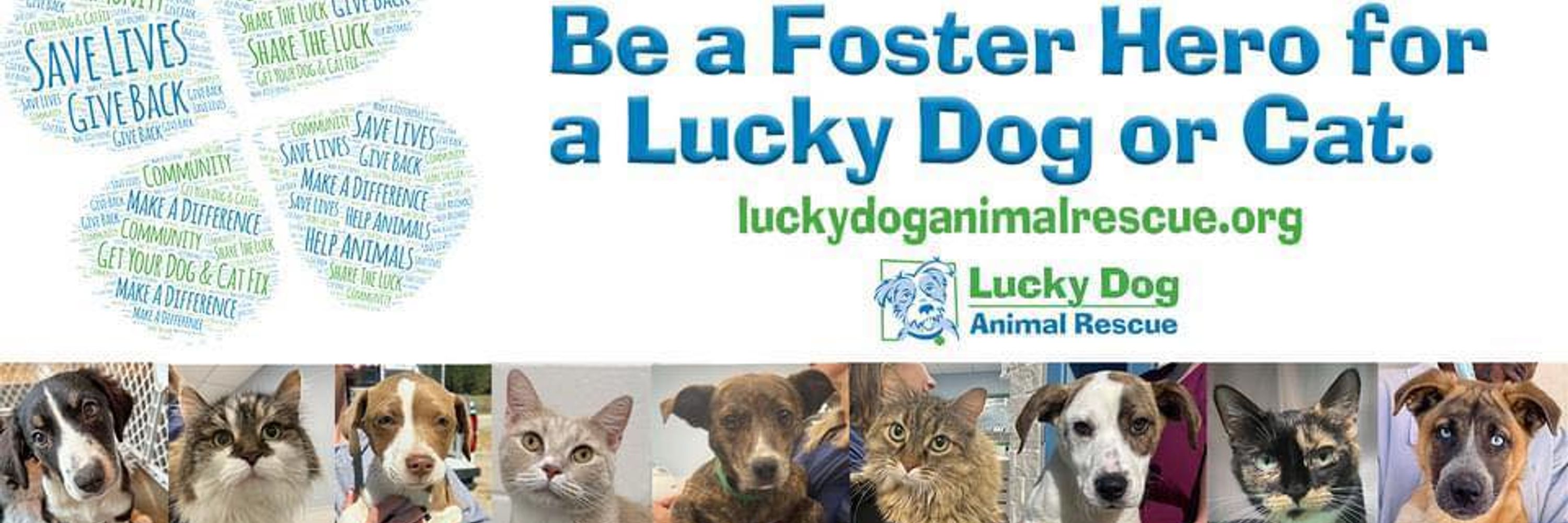 Lucky Dog Animal Rescue