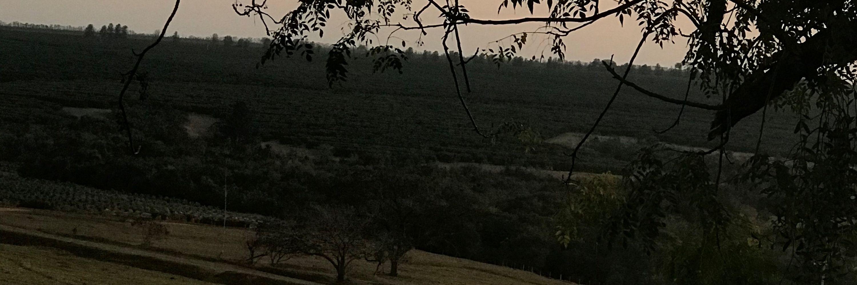 ManoAlu