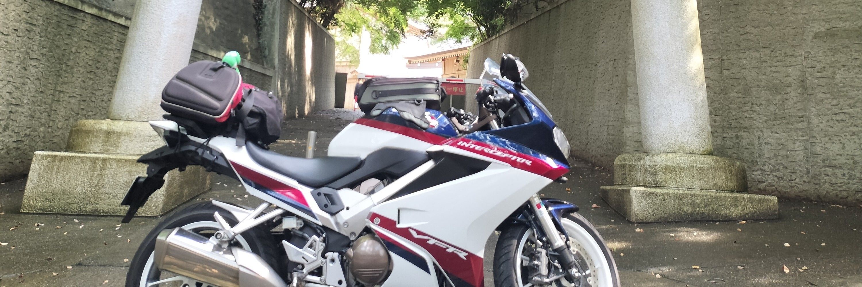 お面バイカー🦖🦭