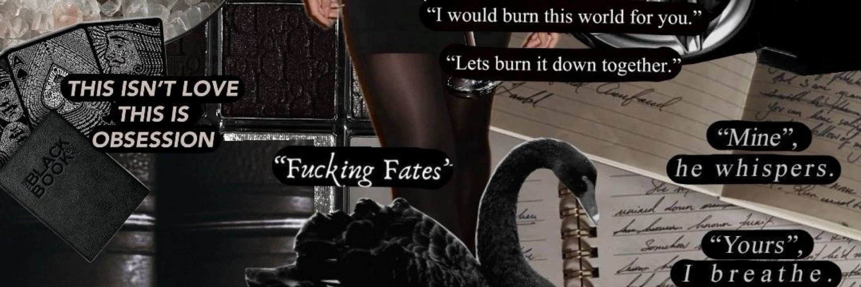 🖤𝖒𝖎𝖈𝖍 🖤