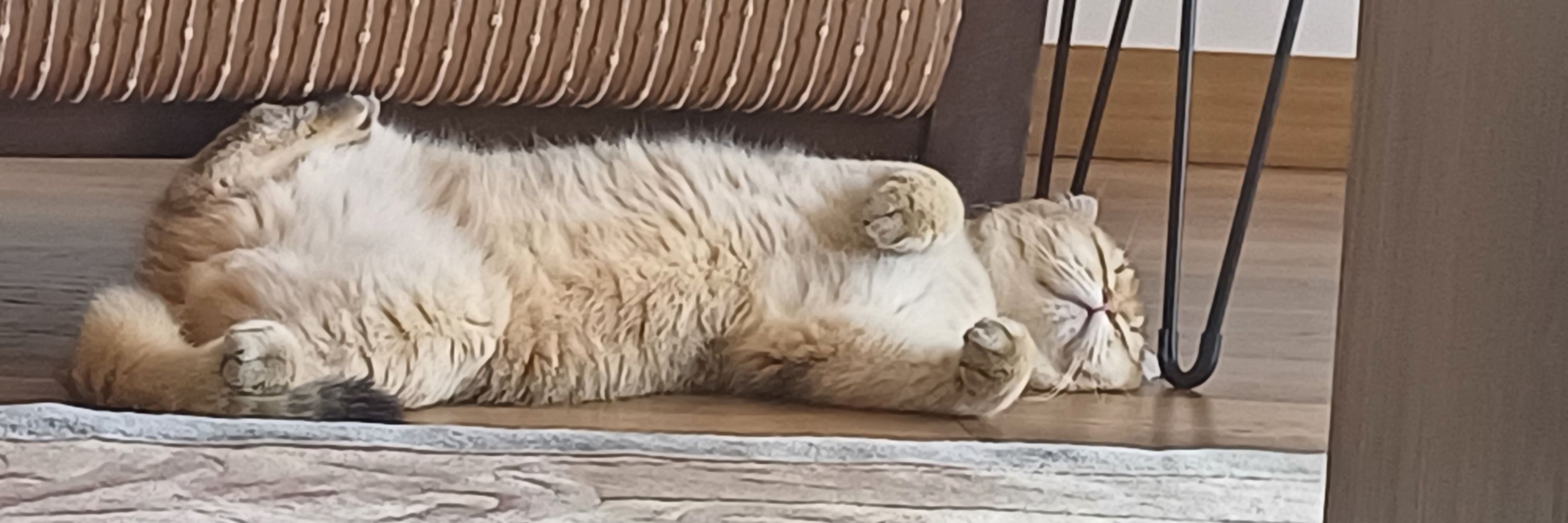 Theo