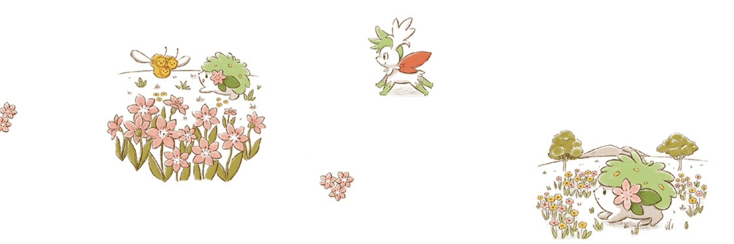 🏵️ Morgan Maxwell