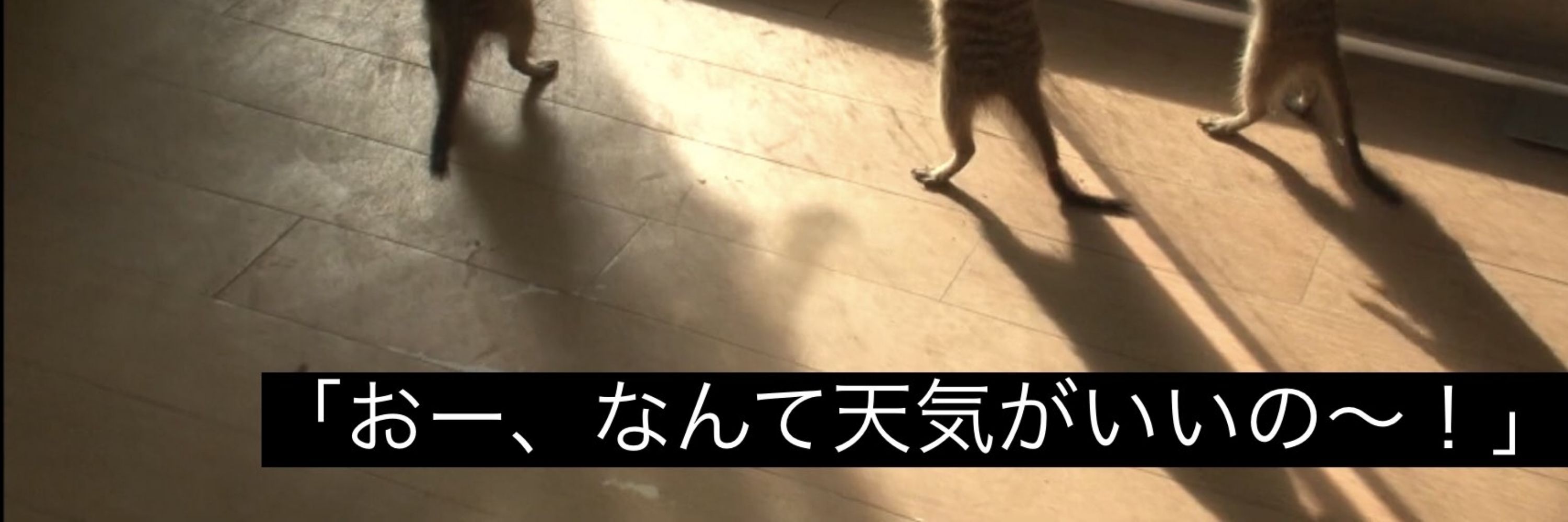 はたらくメロンパン