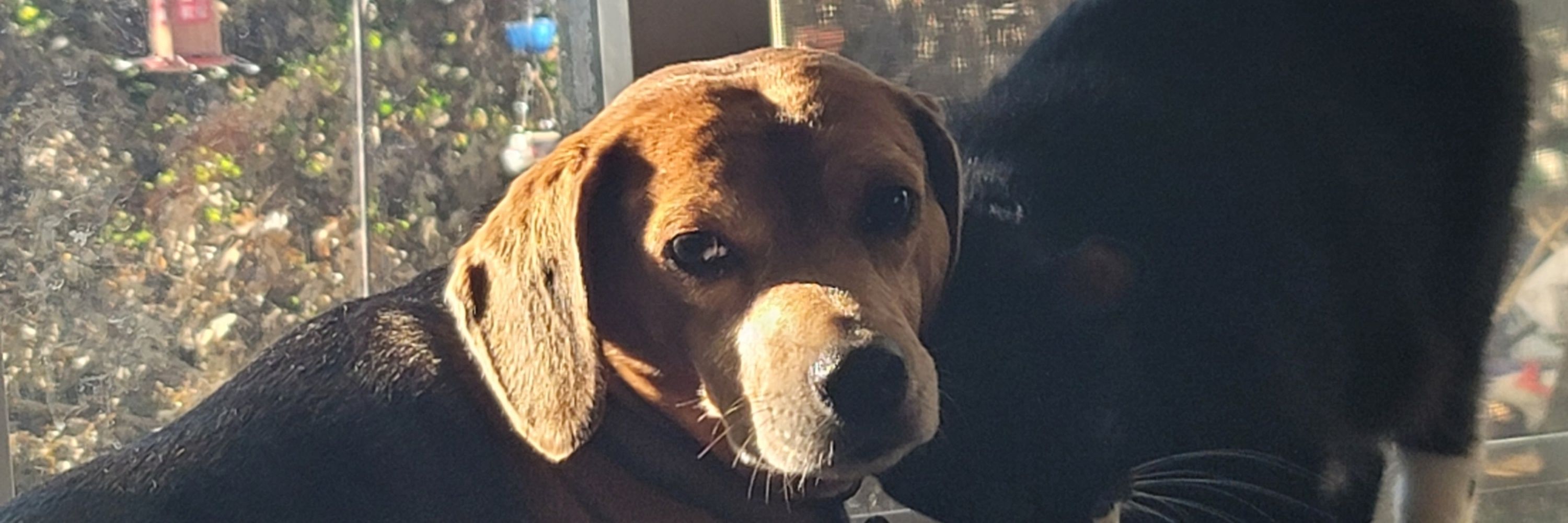 Tito!