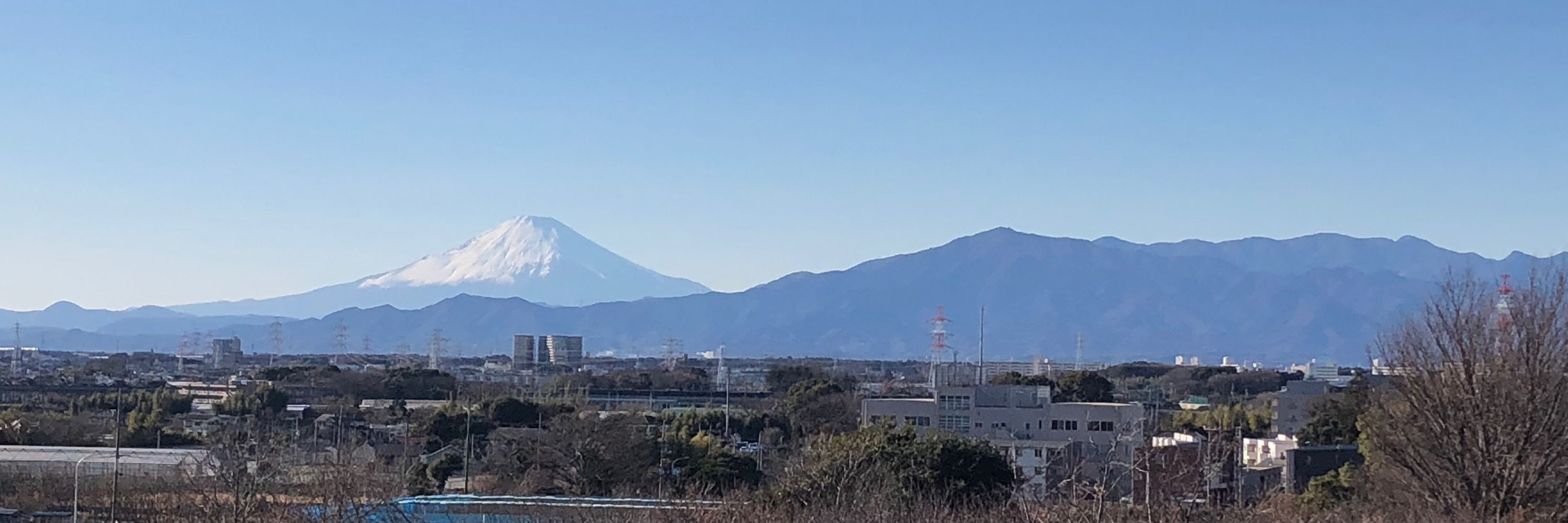とらぞう