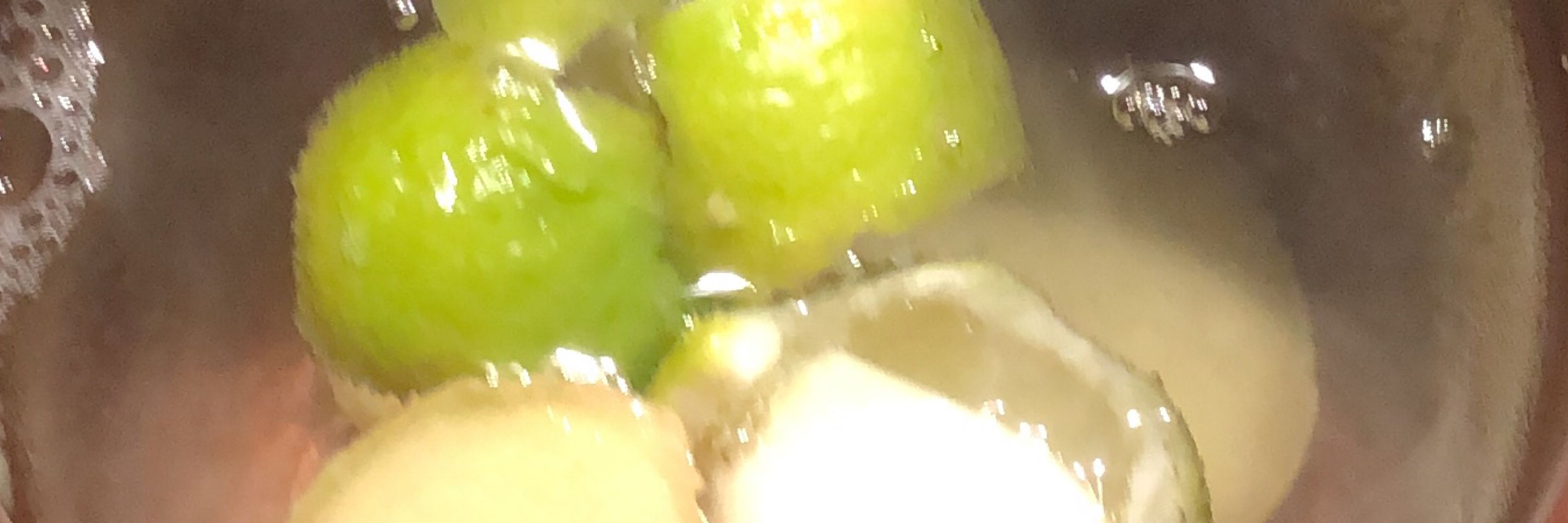 pluglip