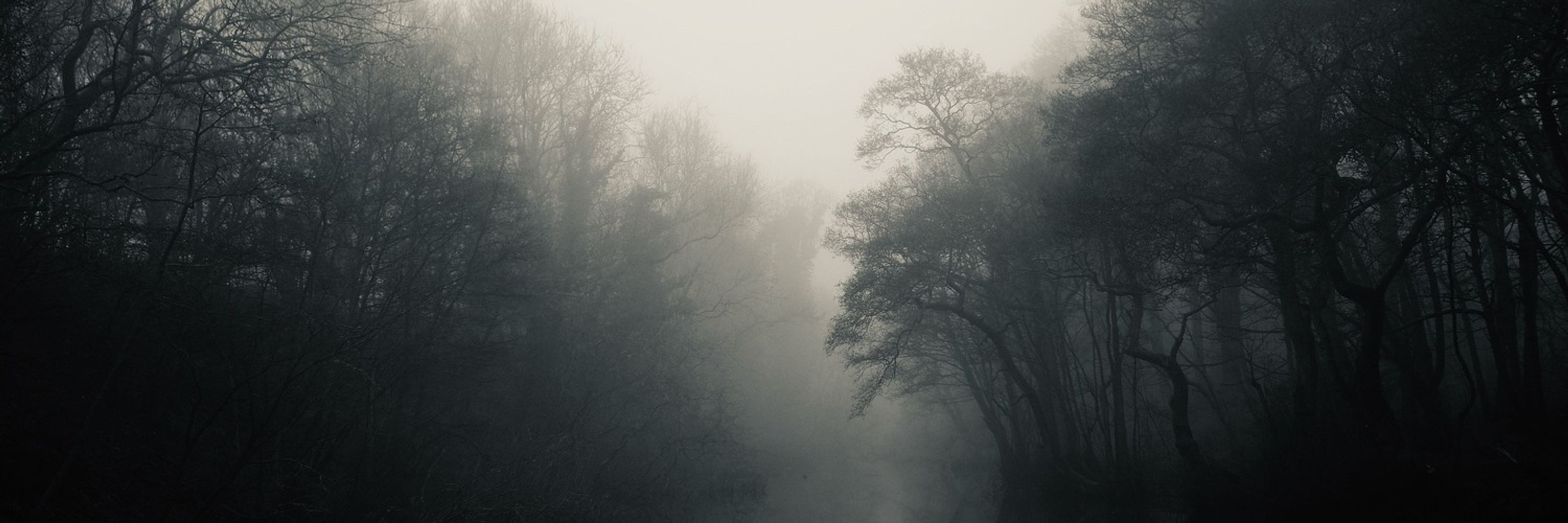 Colin Perkins