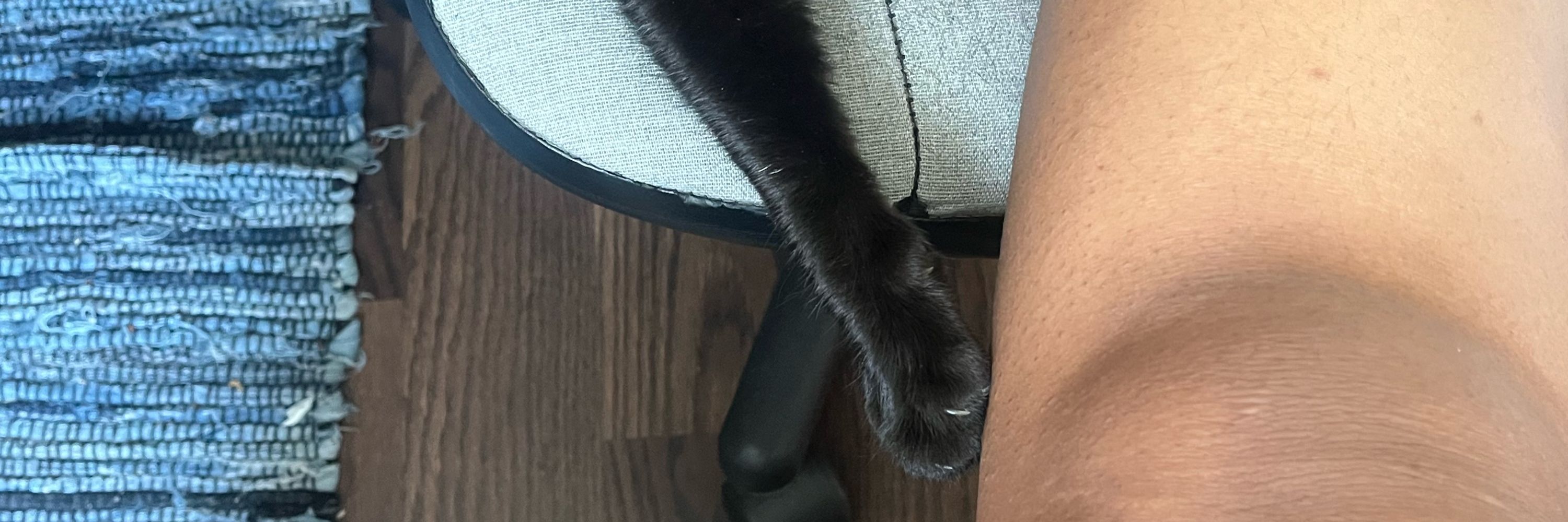 Amira