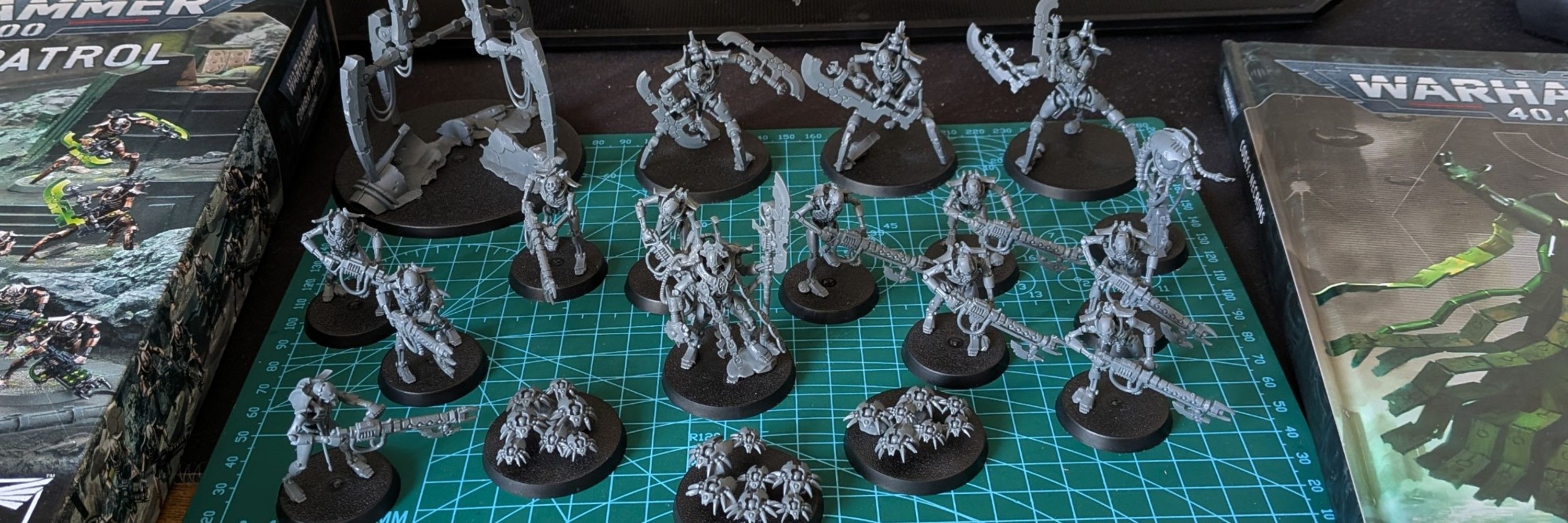 Cryptek Carys 🏳️‍⚧️