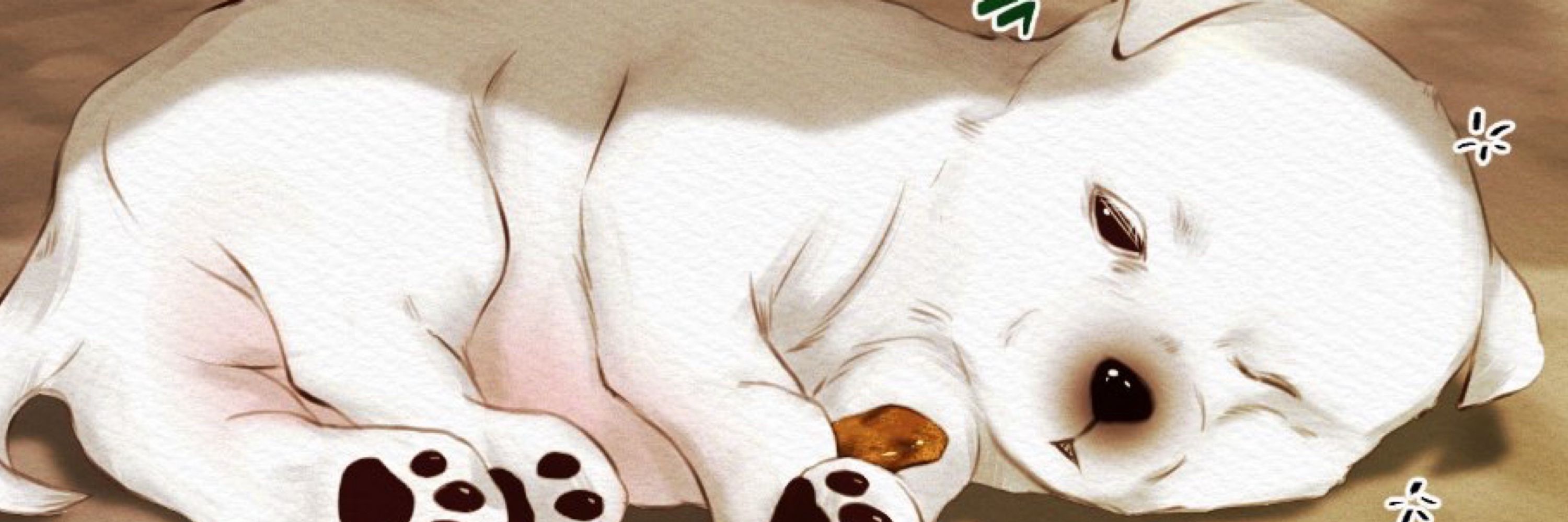 안 安