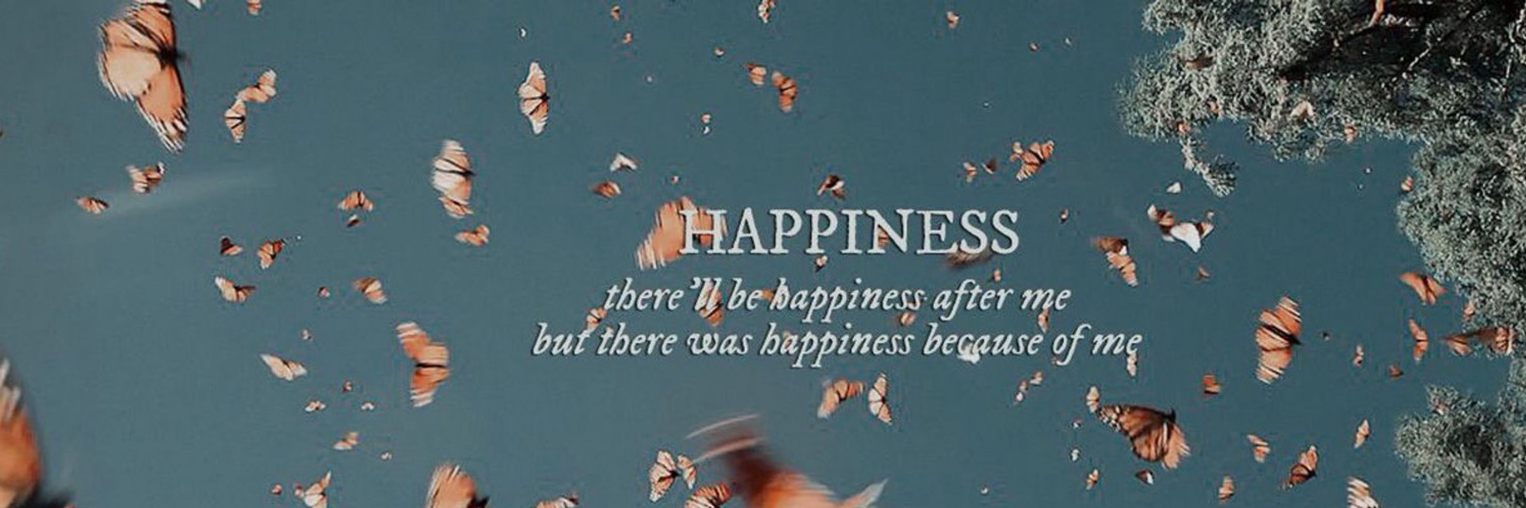 ʚїɞ 𝚍𝚘𝚛𝚘𝚝𝚑𝚎𝚊 ʚїɞ
