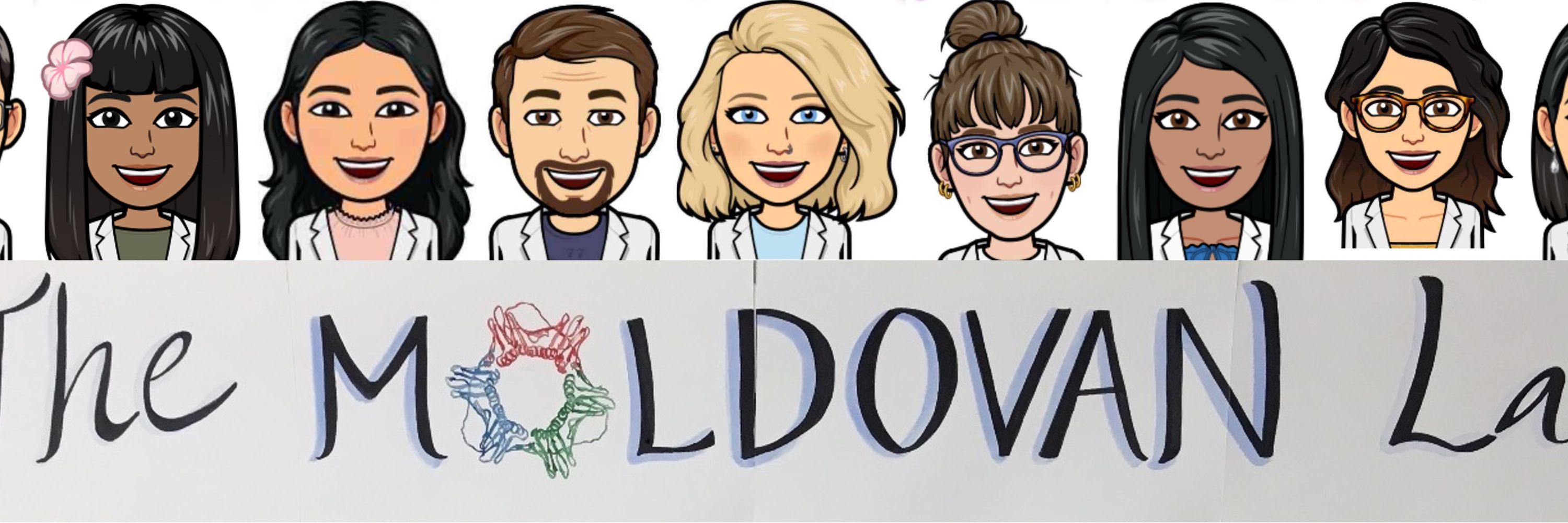 GL Moldovan Laboratory
