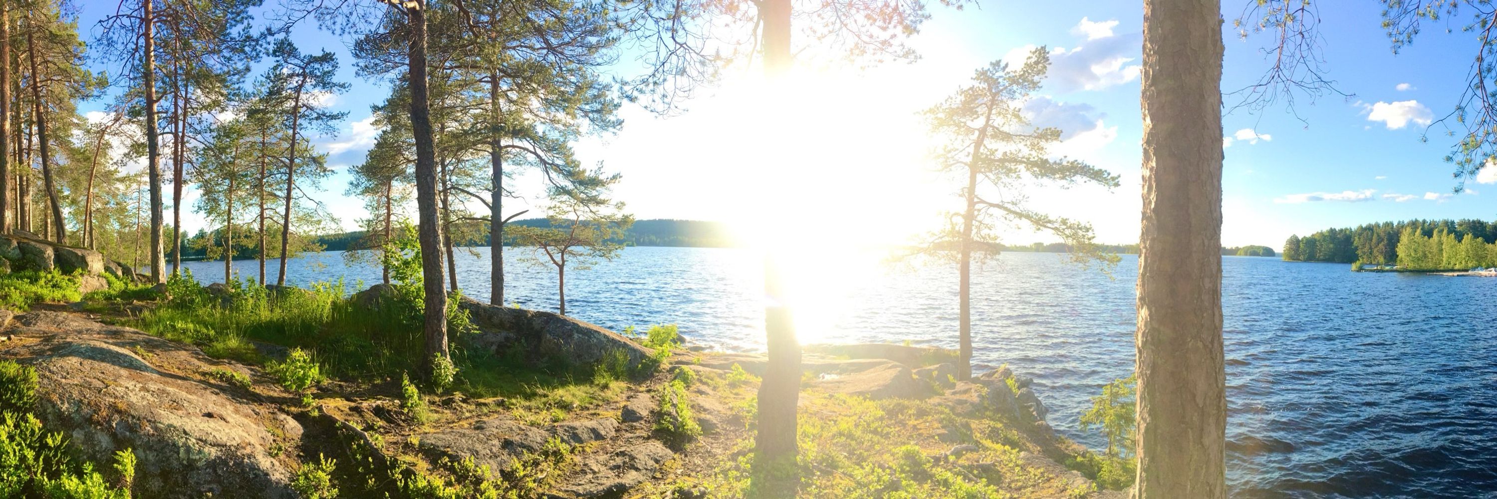 Tapio Vainikainen