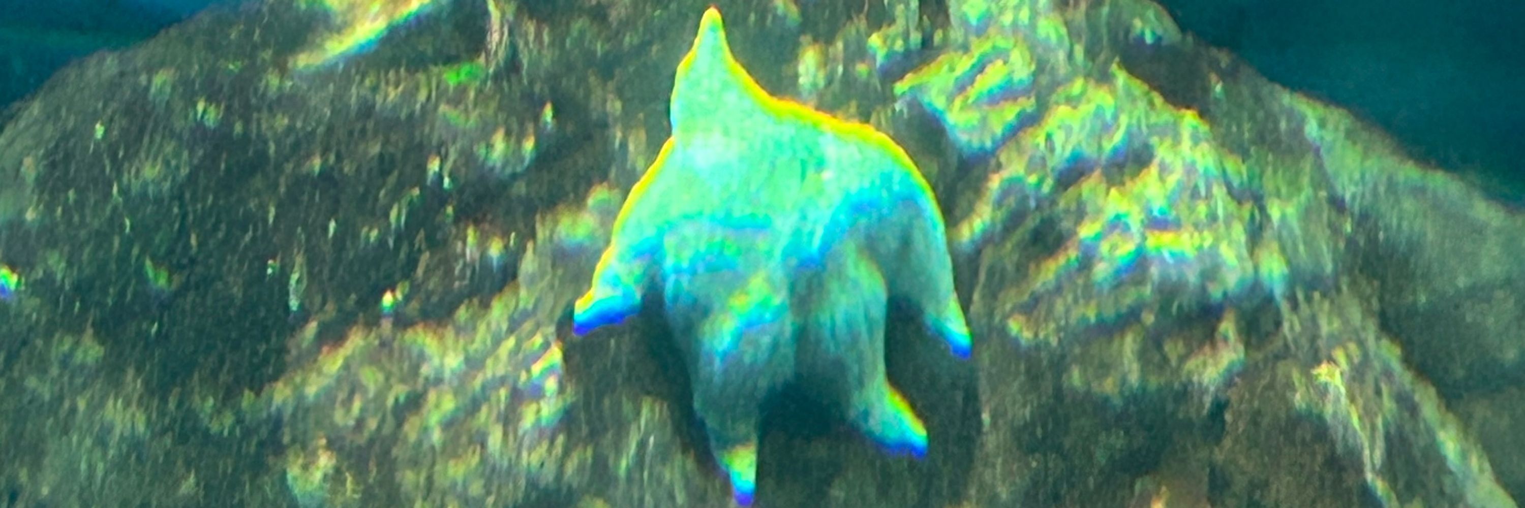 シラタキ・ユニョ