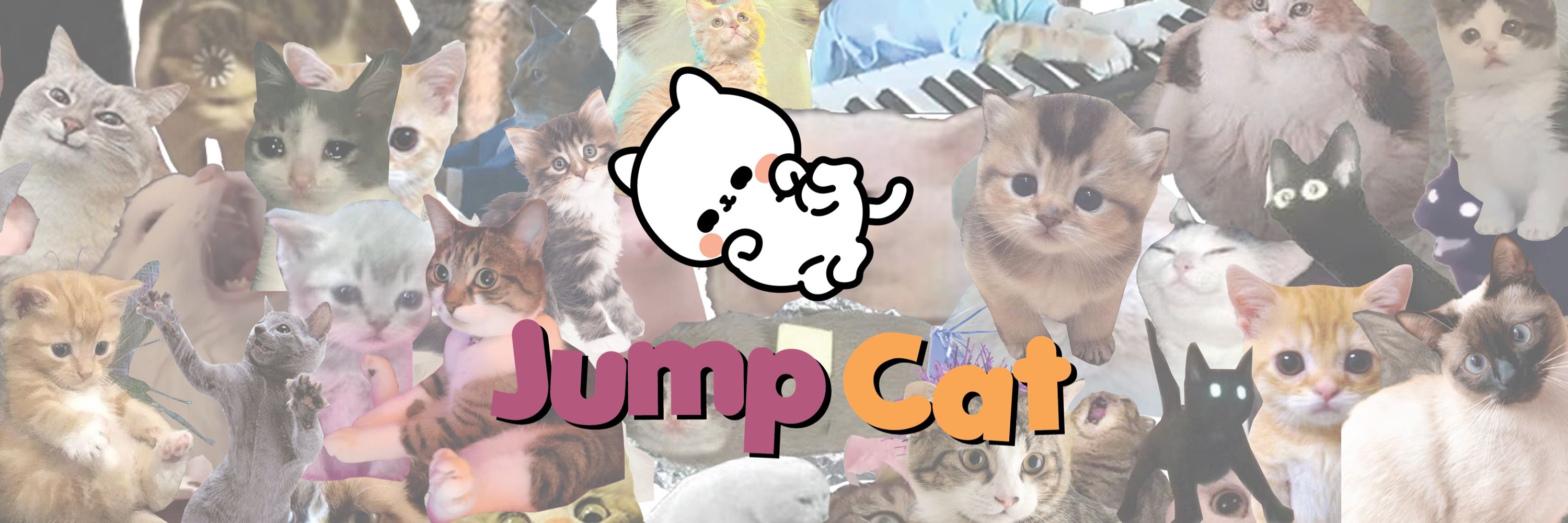 Jump Cat