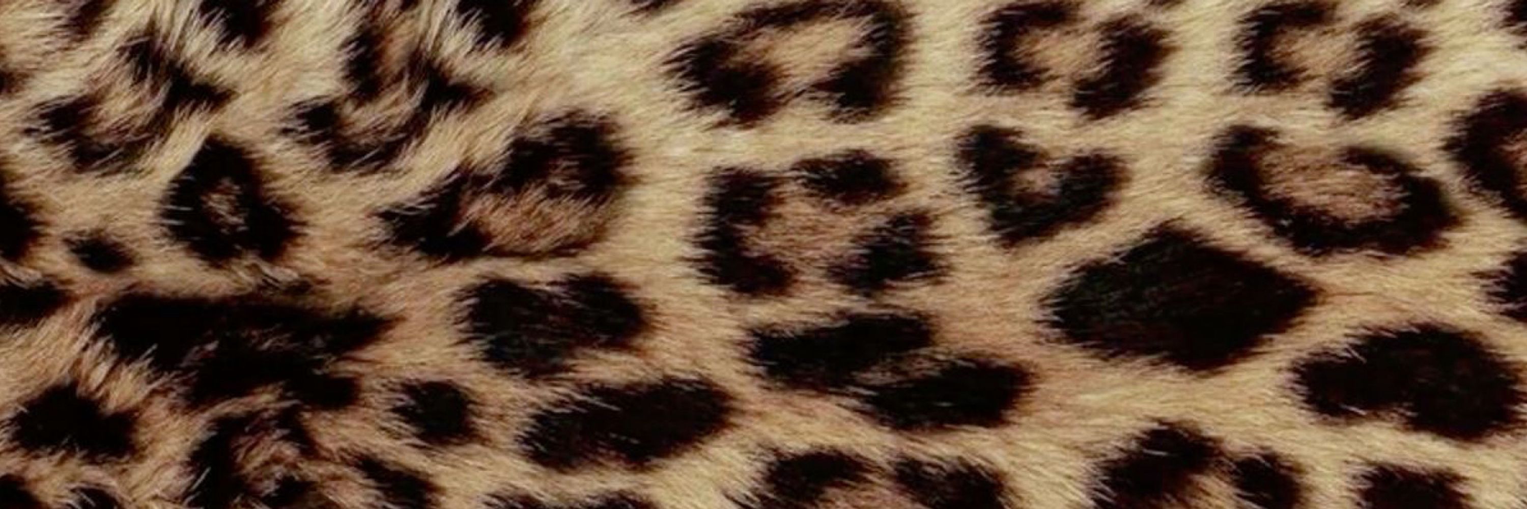 Ana🐆